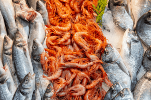 Seafood Exporters